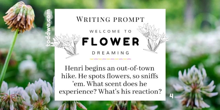 Writing Prompt 4. Welcome to Flower Dreaming. Henri begins an out-of-town hike. He spots flowers, so sniffs 'em. What scent does he experience? What's his reaction?